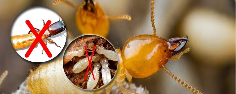 Vệ Sinh Công Nghiệp TP HCM Tuấn Anh